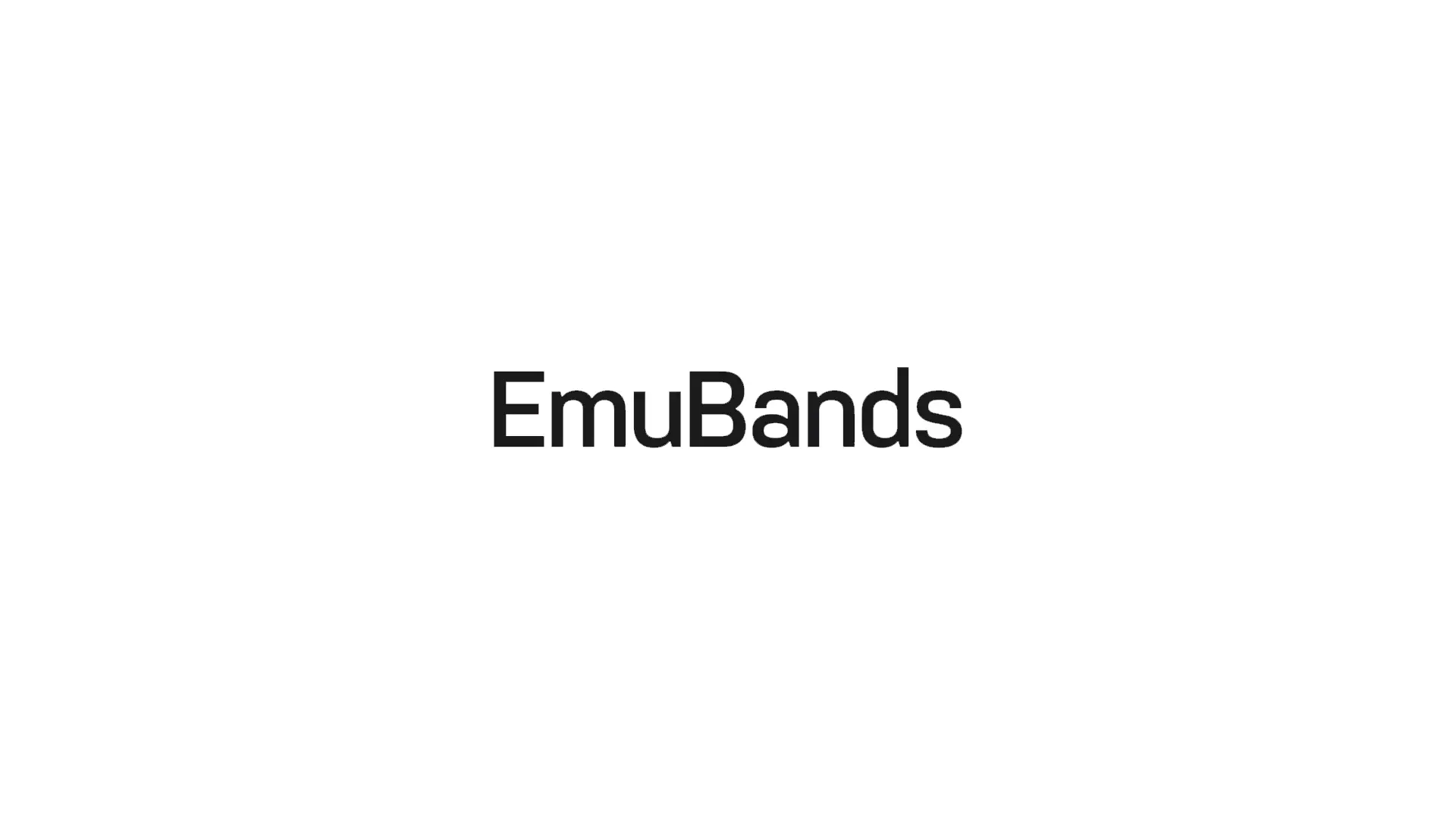 emubands-review